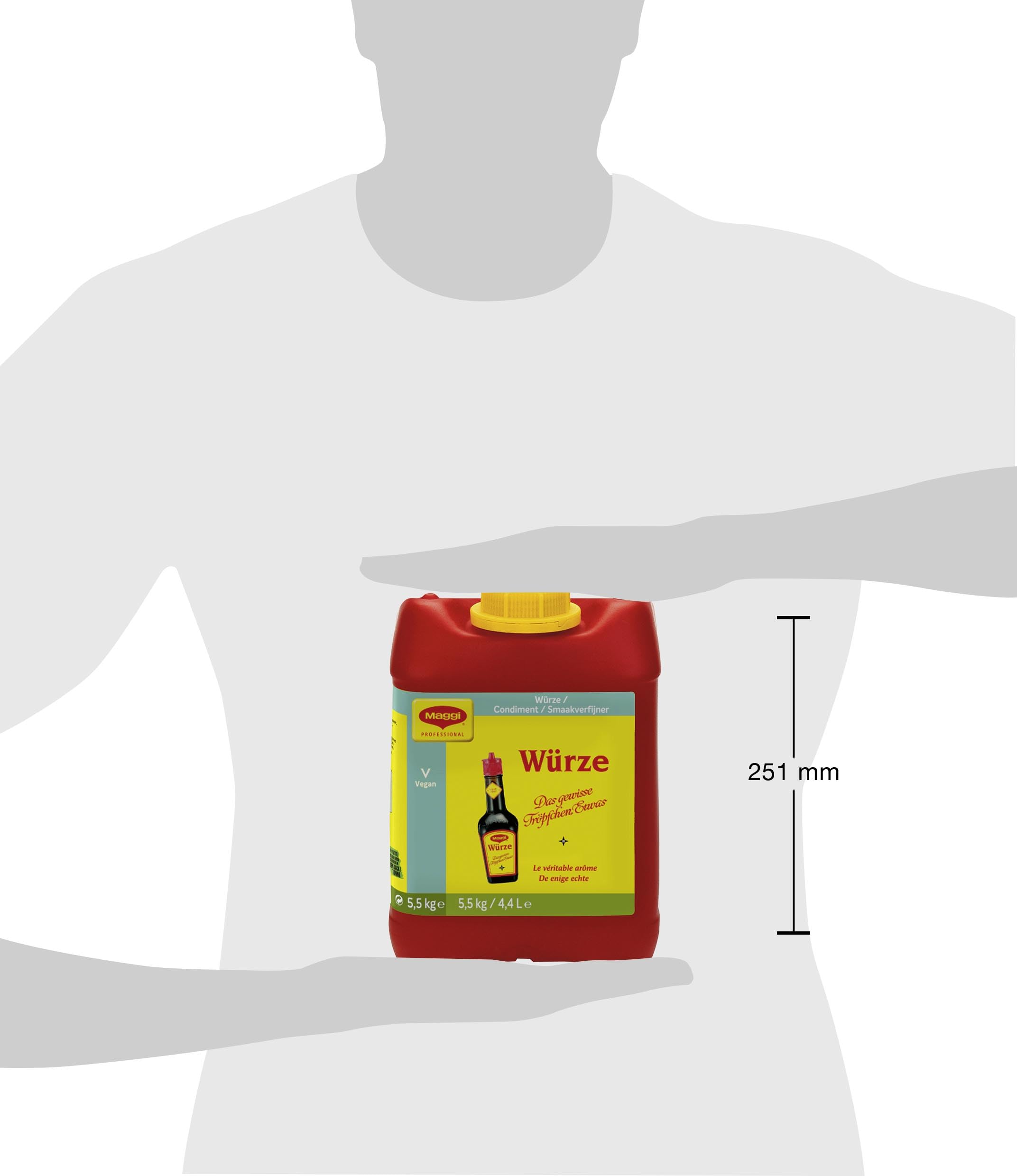 MAGGI Professional Würze, vegan, universell einsetzbar, 1er Pack (1 x 5,5kg Kanister) 4