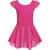 Arshiner Girls Ruffle Sleeve Ballet Dance Dress Tutu Skirted Leotard