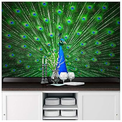 Amazon Com Azutura Peacock Wall Mural Blue Green Feather