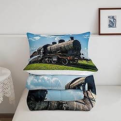 Erosebridal Train Comforter Sets Queen Size Retro
