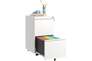 FLIXELIO 2-Drawer Mobile File Cabinet with Lock,Small Rolling Metal Office Storage Filing Cabinet Under Desk,Vertical Locking File Cabinets with Wheels for Home Office,Letter,Fully Assembled White