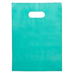 Choice Marts 100 Teal Bags for Small Business