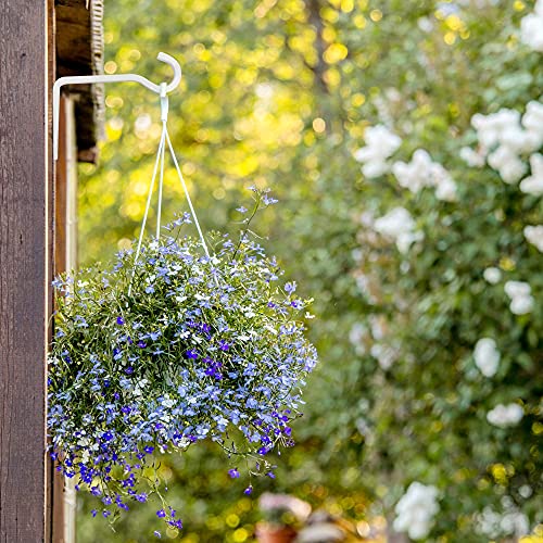 LotFancy Wall Hook Hanging Plant Bracket, 6 and 1.6 inch, 4 Pack Metal Hanger for Baskets, Lantern, Bird Feeders, Indoor Outdoor Home Décor, White and Black