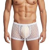 YINYOUYU Mens Sexy Ice Silk Underwear See Through Boxers Super Thin Sheer Trunk Bulge Pouch Boxer Briefs