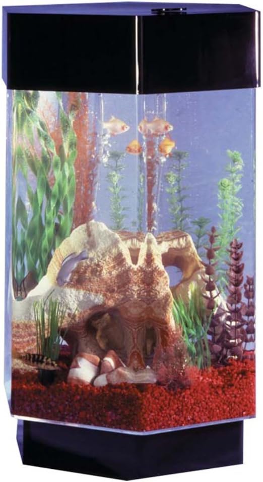 hexagon aquarium