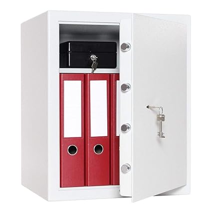 Profirst Festos 660 Cassaforte Con Serratura A Doppia