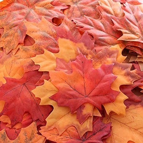 Amazon Com Factory Direct Craft Package Of 1 Fall Colored Maple Leaves For Crafting Events And Embellishing