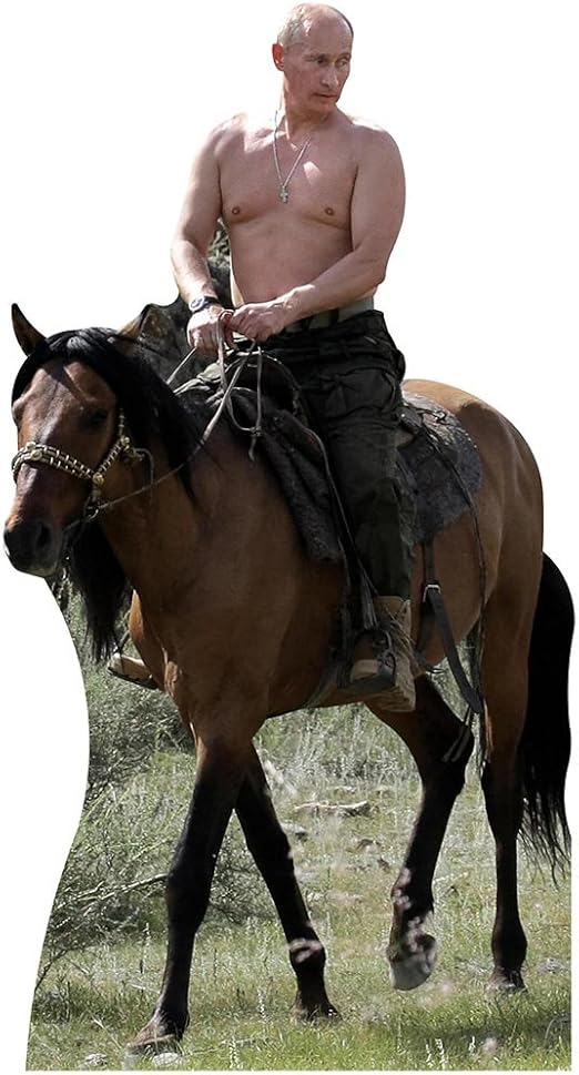 design a friend horse riding