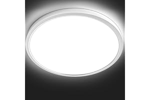 TALOYA Flush Mount Ceiling Light, Round 36W 15.8 inch Daylight Modern Ceiling Light, LED Light Fixtures Ceiling Mount, Close to Ceiling Lights for Bedroom, Kitchen, Laundry Room, Living Room