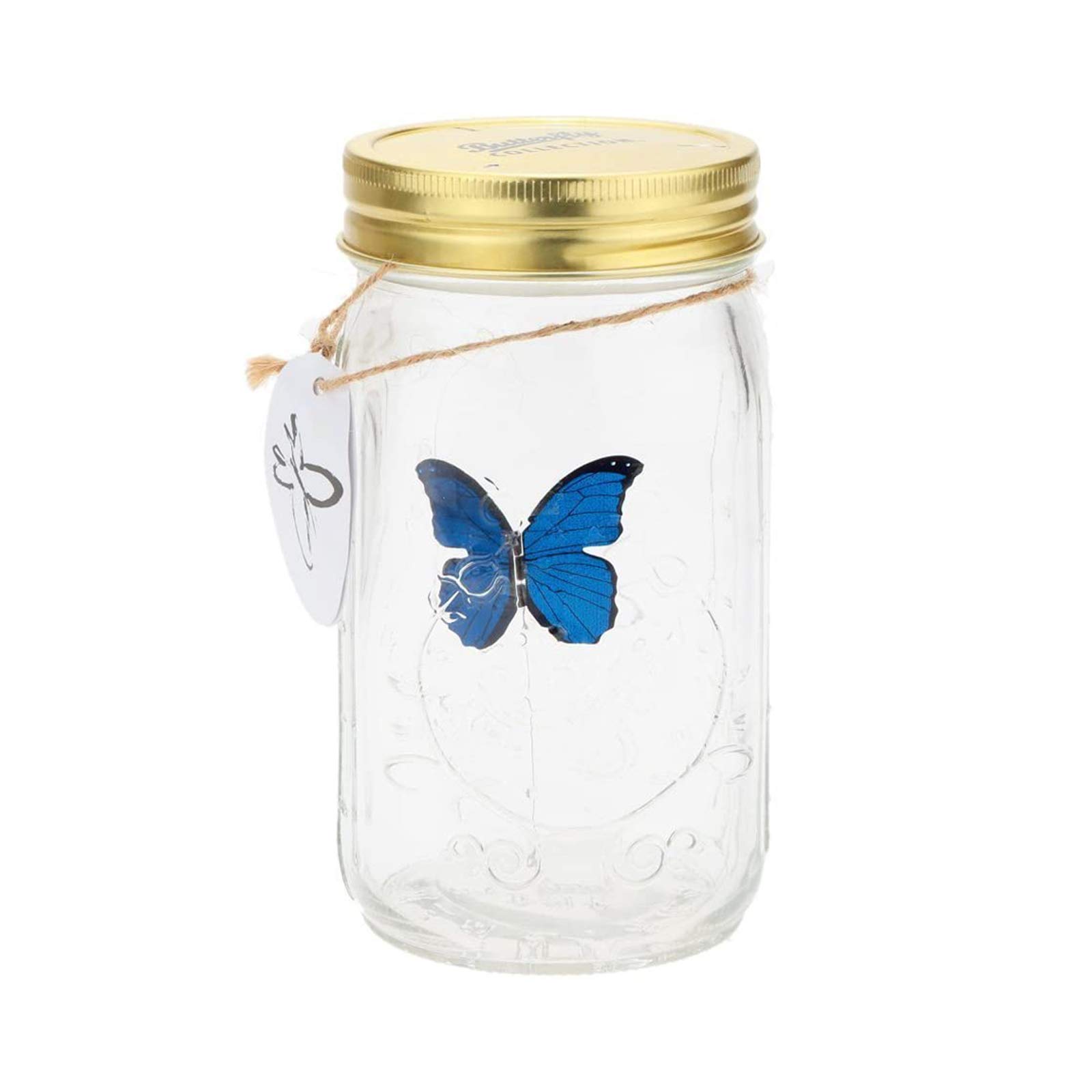 Xfaiz Glass Animated Butterfly Jar with LED Light - Romantic Gift Decoration (Blue)