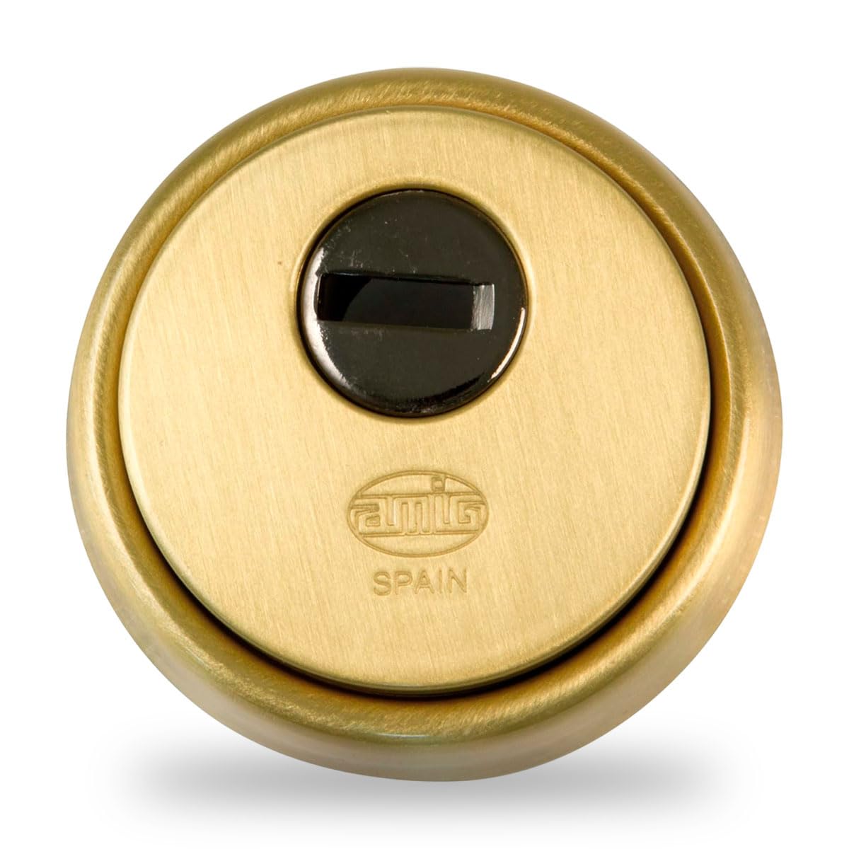 Amig - Cylinder protector Mod. 31 - Brass - Gold finish - Hollow outer ring - Ø65 mm - With anti-drill plate - With screws and mounting support - For Euro profile cylinder EN1303 - Sintered steel body