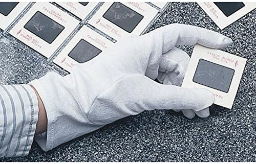 University Products Washable Cotton Gloves White 2 pair/pkg (Medium)
