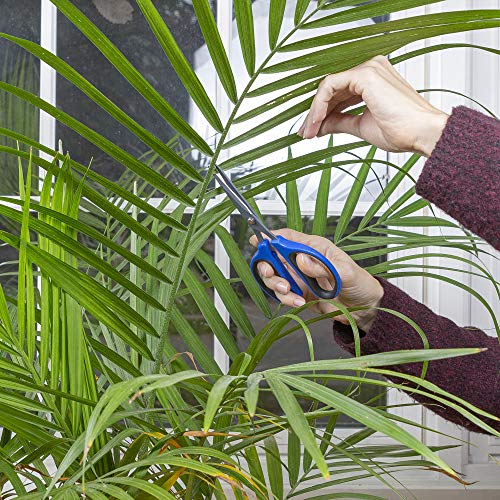 Happy Hydro 60mm Trimming Scissors, Premium Non-Stick Teflon Blades, Ergonomic Comfort Grip Handles