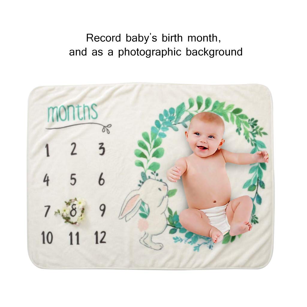 baby month sheet