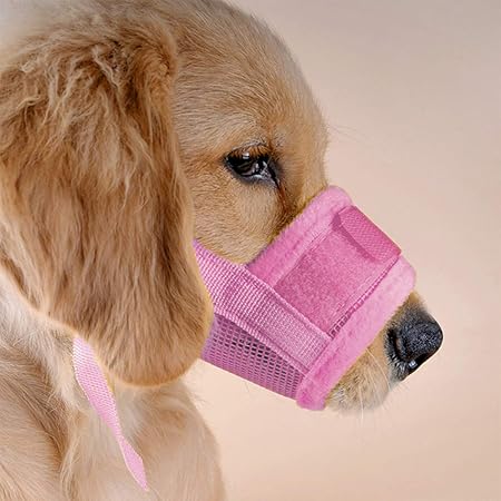 pink dog muzzle