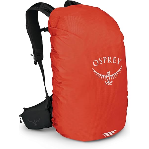 backpack north face black The North Face Borealis Backpack: Duck Green/New Taupe Green main image 0