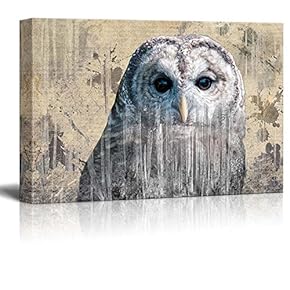 Double Exposure Close Up of a Grey Barred Owl on a Rustic Style Canvas - Canvas Art Home Art - 12x18 inches