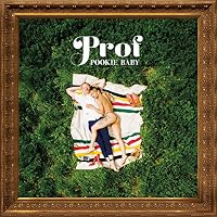 Prof - Light Work