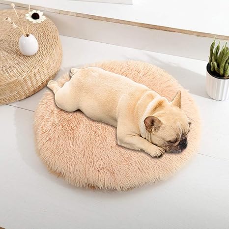 Amazon Co Jp Urijk丸いペットベッド ペットパッドラウンド型 丸型 犬猫クッション ペットマットペットソファふわふわ 暖かい滑り止め 防寒 洗える 猫用小型犬用 アプリコット M 直径50cm 高さ4cm Urijk ホーム キッチン