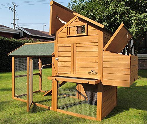 Chicken Coops Imperial Grand Poulailler Kingsbourne Jusquà 4