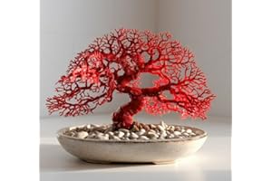 CZ GRAIN Heart of The Dragon Dogwood Bonsai Tree Cutting to Grow - Rare Vibrant Red Barked Bonsai - Not a Potted Plant, Cuttings to Grow
