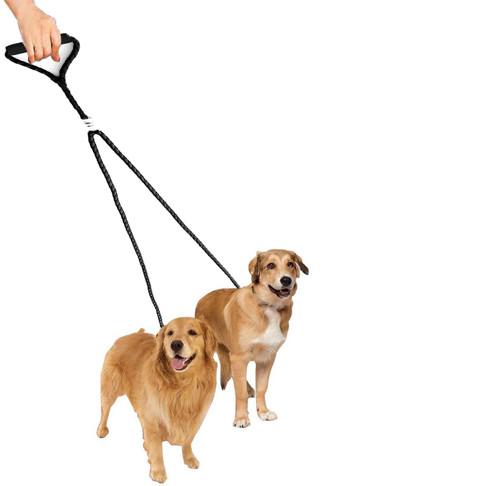 double leads for 2 dogs