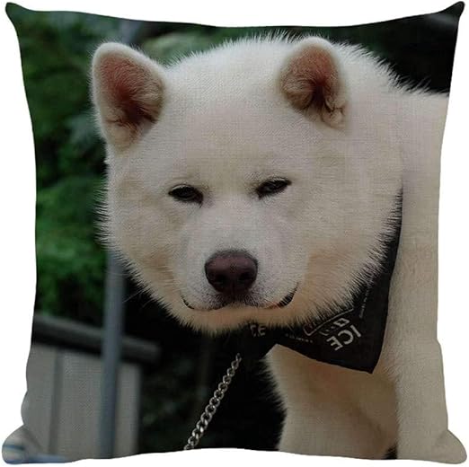 akita pillow