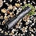 Sofirn Adjustable Flashlight 500 Lumen Cree LED Handheld Light Torch Super Bright IPX5 Water Resistant, Zoomable Pocket-sized Portable, Used Rechargeable 18650 Battery or 3 AAA Batteries (excluded)