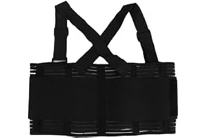 TMISHION Lumbar Lower Back Brace Support Belt Dual Adjustable Straps Breathable Mesh Panels Work Belts Breathable Sports Belts Pressure Straps Work Belt Weightlifting Fitness Waist Fixed Back Support Belts