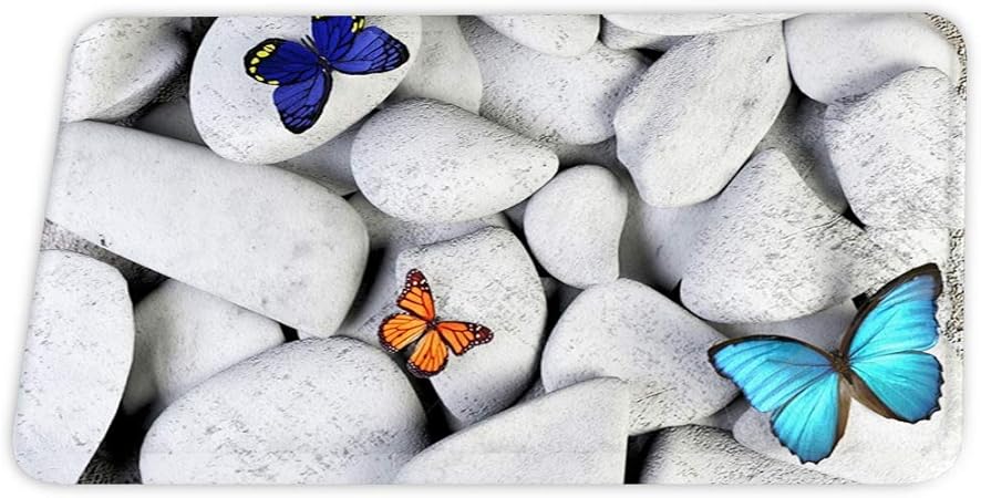SUPERQIAO Schöne Butterfly Cobblestone Coral Velvet Bad Teppiche
