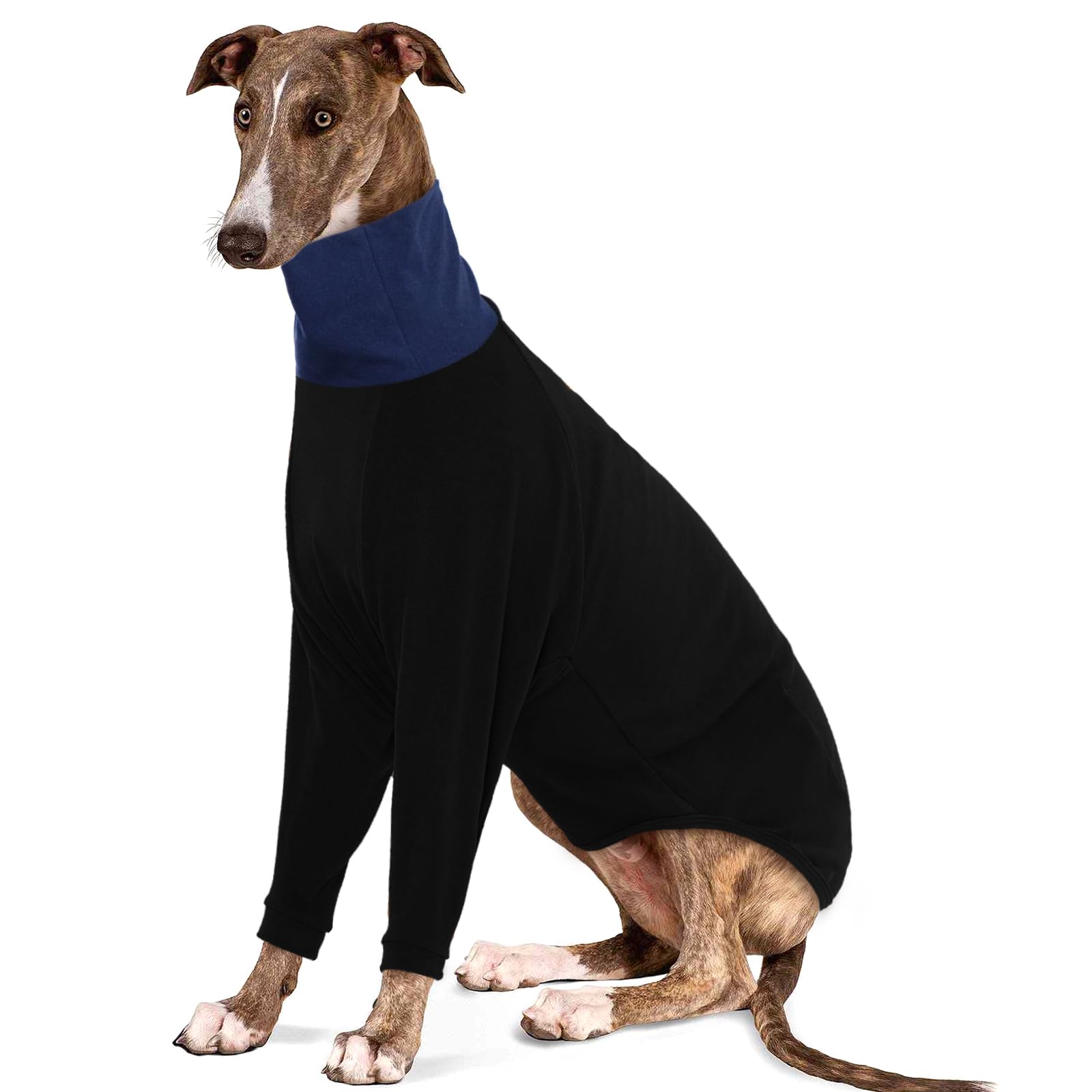 Photo 1 of IECOii Greyhound Sweater, Turtleneck Italian Greyhound Sweater Thermal,Greyhound Cozy Fleece Jumper Winter Outfit,Whippet Fleeces Sweater,Greyhound Dog Jumpsuit for Whippet Lurcher Salukis,Medium