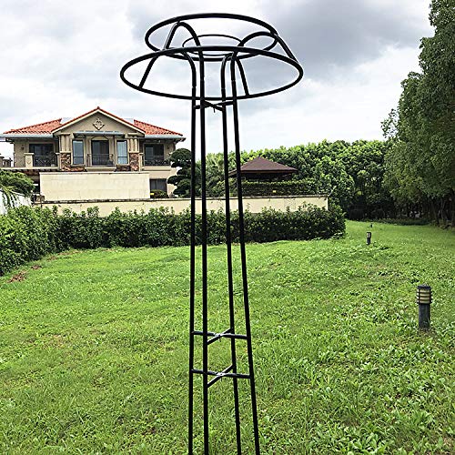 XJAXY Rankhilfe, Kletterhilfe, 80.7in Garten Gitter für Kletterpflanzen und Blumen, Metallpflanze Trellis für den… – Bild 5