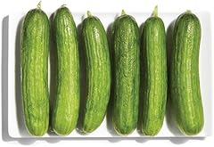 Organic Mini Cucumbers