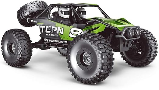 professional rc car racing