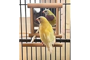 zmgmsmh Birds Mirror for Cage,Parrot Hanging Swing with Mirror,Natural Wooden Play Mirror Pet Bird Cage Accessories with Metal Hook