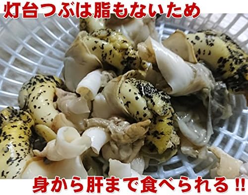 Amazon つぶ貝 灯台つぶ 北海道産 2kg 約 40個入 道産ネットミツハシ 鮮魚 通販 Amazon つぶ貝 灯台つぶ 北海道産 2kg 約 40個入 道産ネットミツハシ 鮮魚 通販