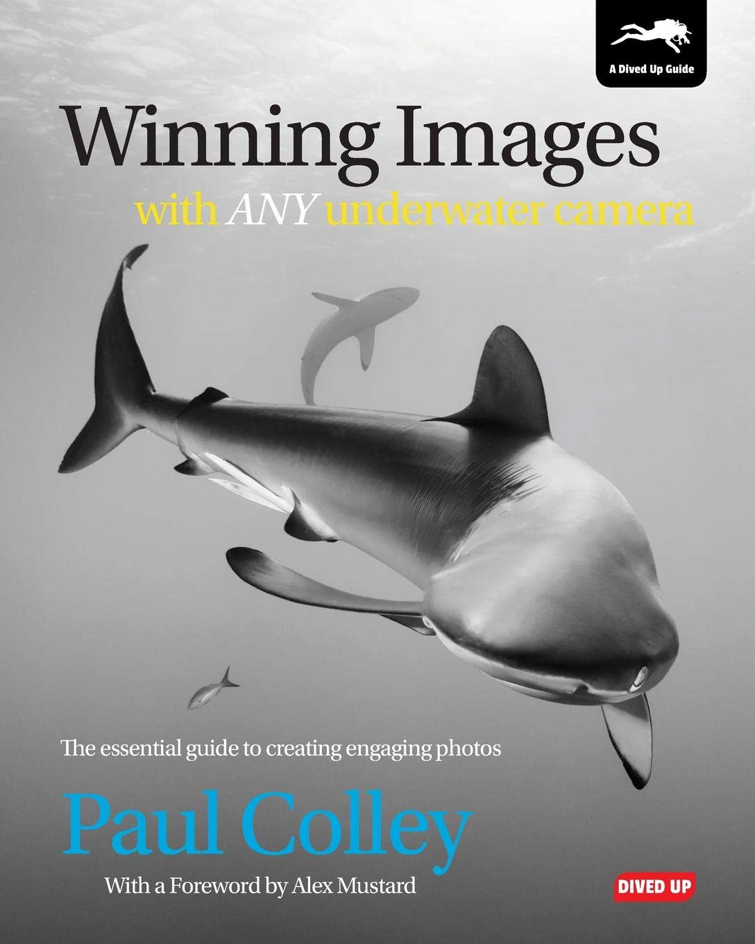 Winning Images With Any Underwater Camera The Essential - 