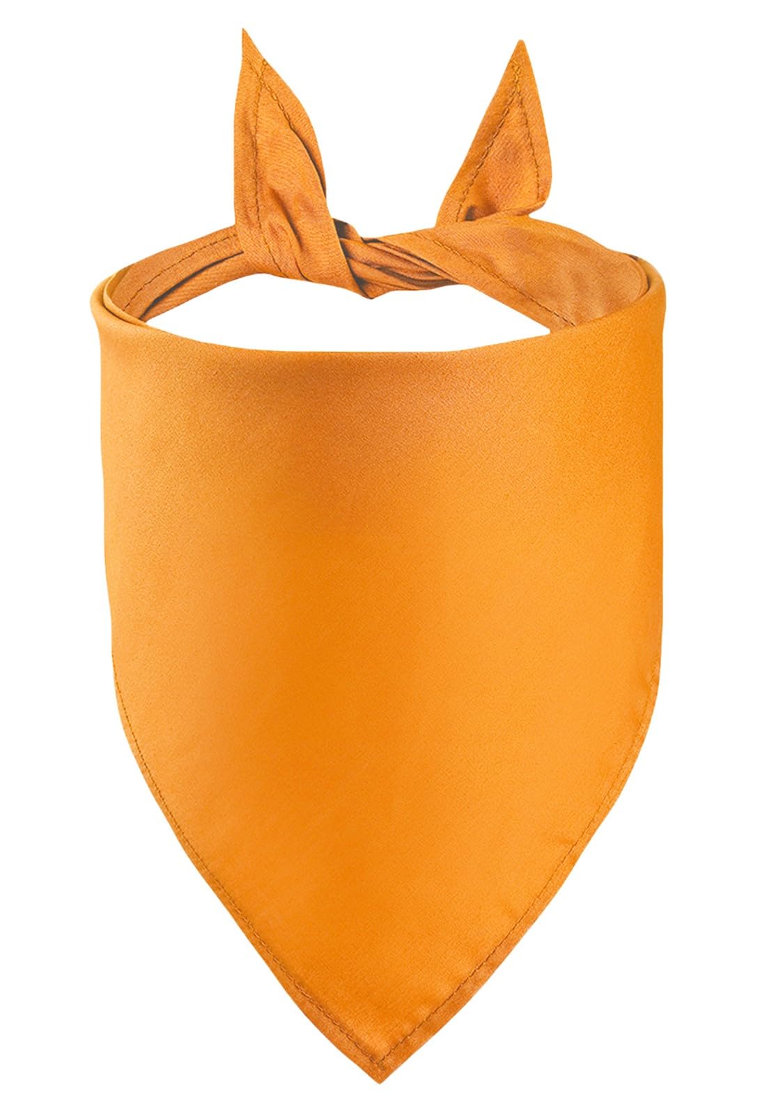 Petitebelle Single Color Pet Bandana (Orange, Large)