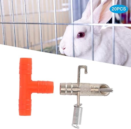 rabbit water fountain