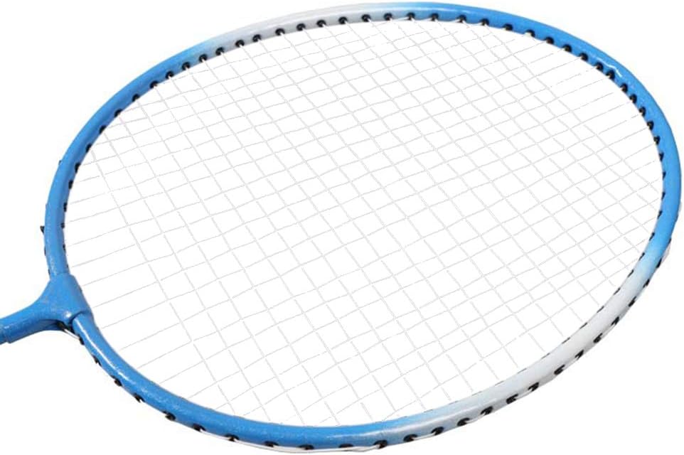 Roeam Outdoor Sport Badminton Rackets Badminton Set 2 Player Badminton Racket Set Indoor Outdoor Sports Adults, Children Practice Badminton Racquet with Cover Bag: Home & Kitchen