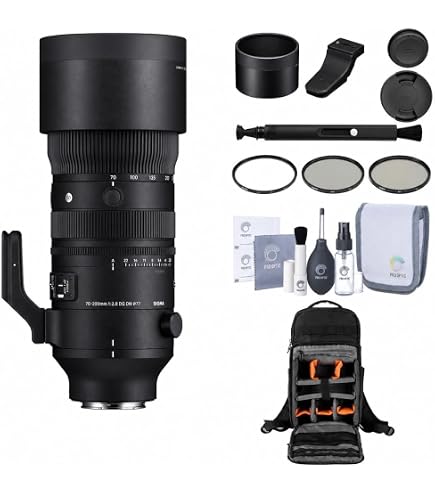Amazon.com : Sigma 70-200mm F2.8 DG DN OS for L-Mount : Electronics