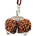 Divya Shakti 100% Original Nepali Gauri Shankar Rudraksha in Silver Cap (Gaurishankar Rudraksh) 21 M.M