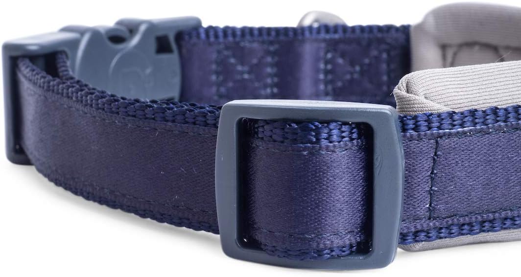 Petface (Outdoor Paws by Petface) Neoprene Padded Blue Dog Collar, Small - Image 5