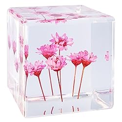 Bon Cube Desk Accessory Acrylic Resin Cube