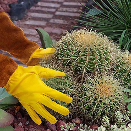 Poison Ivy Gloves, Heavy Duty Long Thorn Proof Garden Glove for Rose