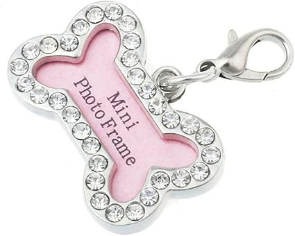 do cats get cold indoors