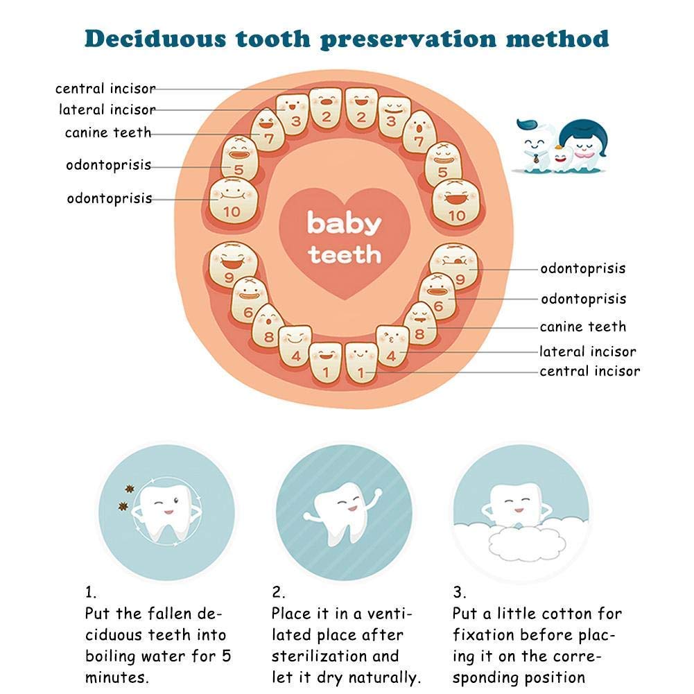 Esweny Baby Tooth Box,Solid Wood Teeth Boxes,Teeth Storage Box,Baby Save Boxes,Kids Keepsake Organizer for Baby Teeth and Hair,Baby Shower& Birthday Gift
