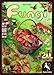 Fungi Board Game