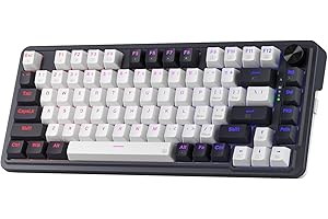 Redragon K673 PRO 75% Wireless Gasket RGB Gaming Keyboard, 3-Modes 81 Keys Compact Mechanical Keyboard w/Hot-Swap Socket, Ded