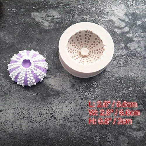 2 Efivs+Arts+Seashell+Silicone+Decoration